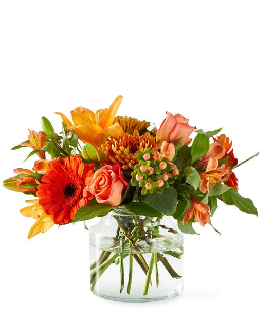 Golden Hour in Autumn — flowers close to me