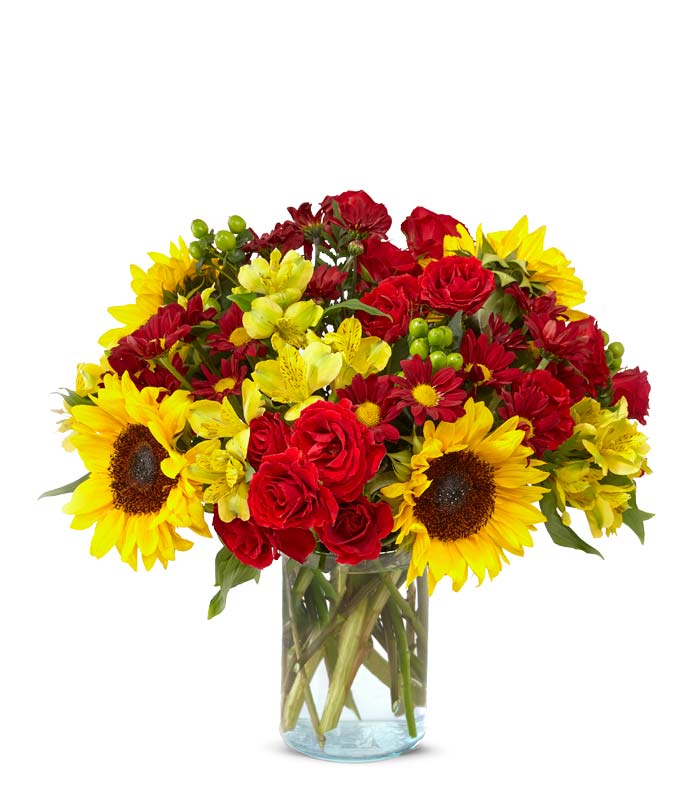 Splash of Autumn Spirit — flower flowers
