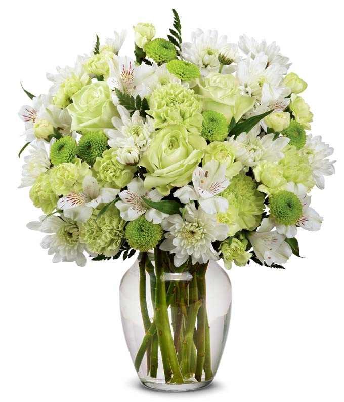 A Squeeze of Lime — order flowers online