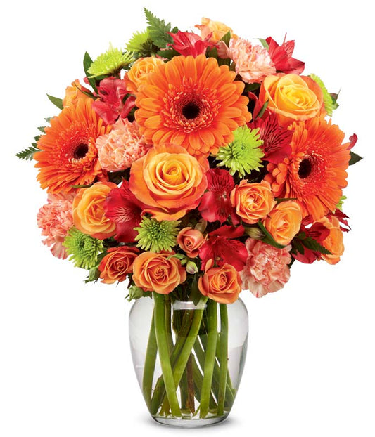 Vibrant and Bright — order flowers on line