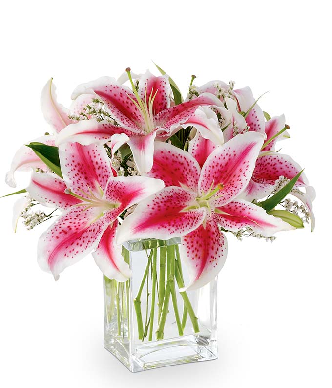 The Shining Stargazer Bouquet — flower delivery service