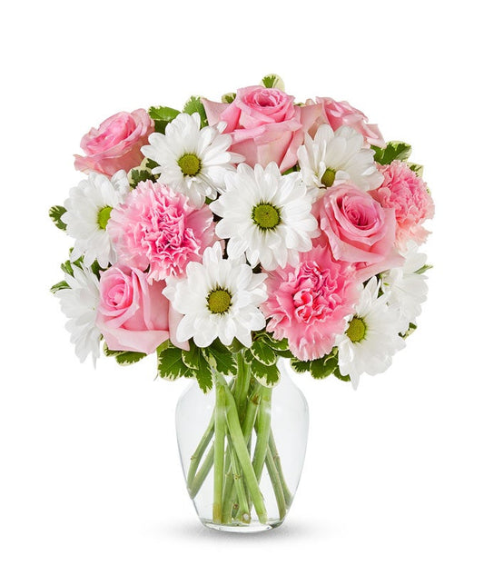 Pastel Daisy & Rose Delight — valentines flower delivery