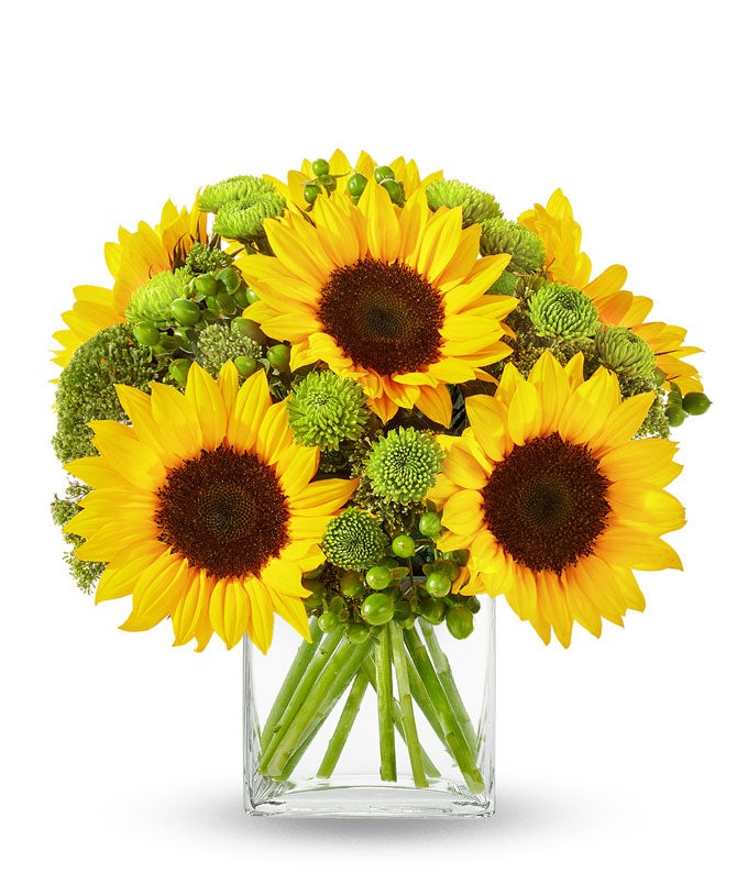 Sunflower Hills — flower delivery companies