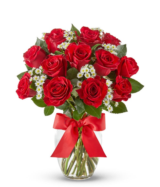 Luxury Red Roses - One Dozen — order flowers online for delivery