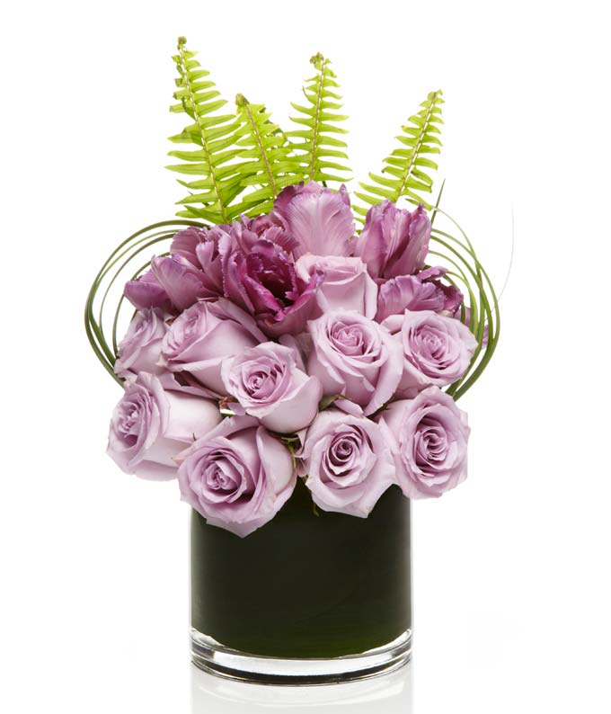 Contempory Purple Roses — flower flowers