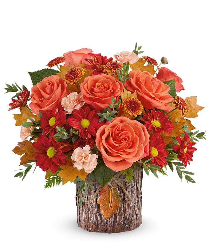 Radiant Autumn Stroll — flower places near me