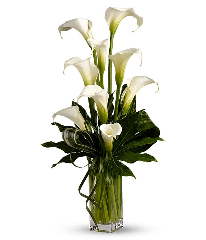 My Fair Lady — order bouquet online