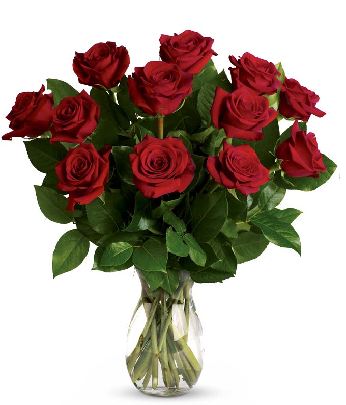 Classic Romance Red Roses - One Dozen — rose delivery service