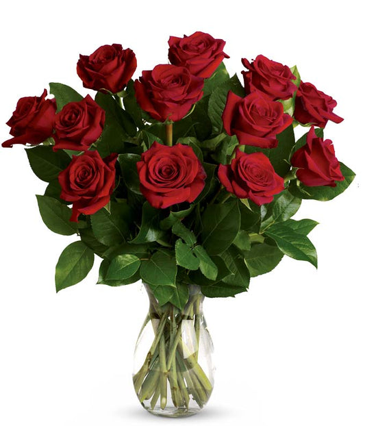 Classic Romance Red Roses - One Dozen — rose delivery service