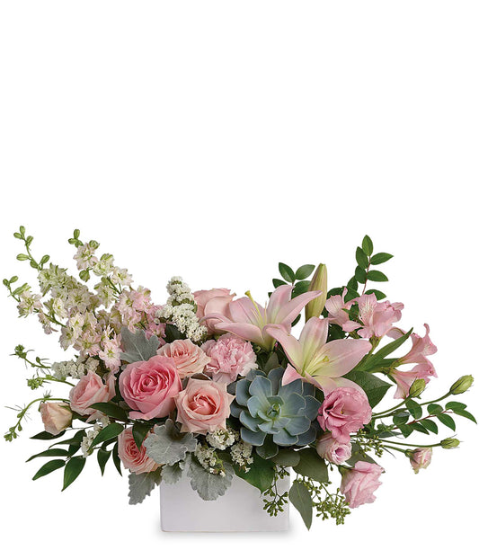 Modern Romance Succulent Arrangement — affordable flower delivery
