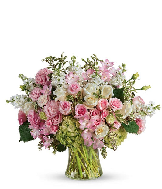 Roses in the Sun — valentine's day flower delivery